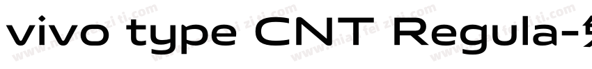 vivo type CNT Regula字体转换